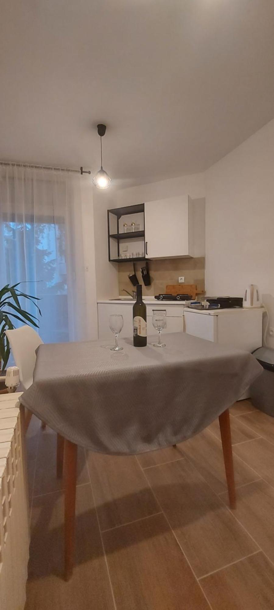 Orljava Apartment
